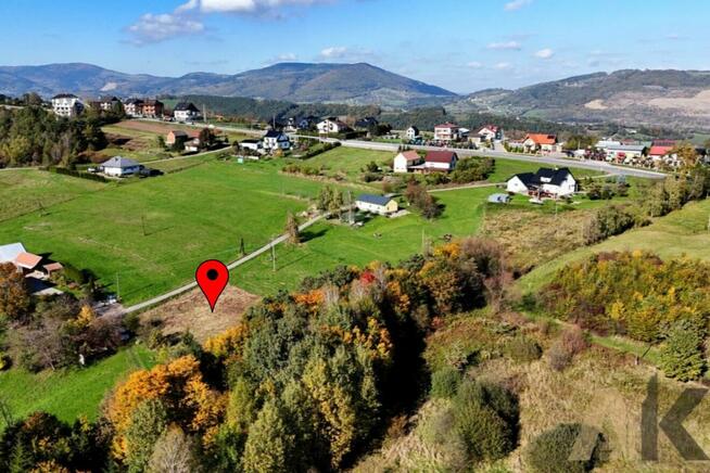 Działka z kawałkiem własnego lasu - Trzetrzewina