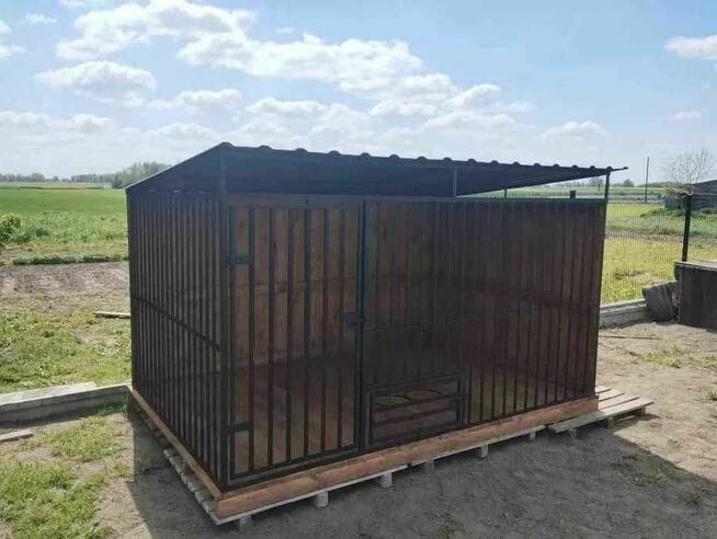 kojce boksy atrakcyjne ceny