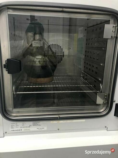 Inkubator laboratoryjny | Binder KB 53 | OUTLET