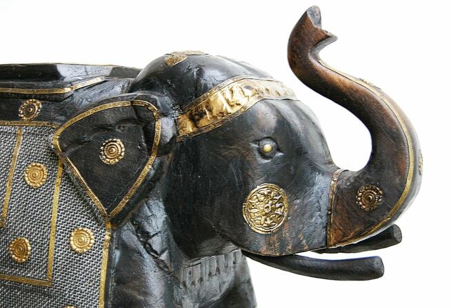 Duży słoń indyjski, rzeźba, drewno mango jak heban, mosiądz