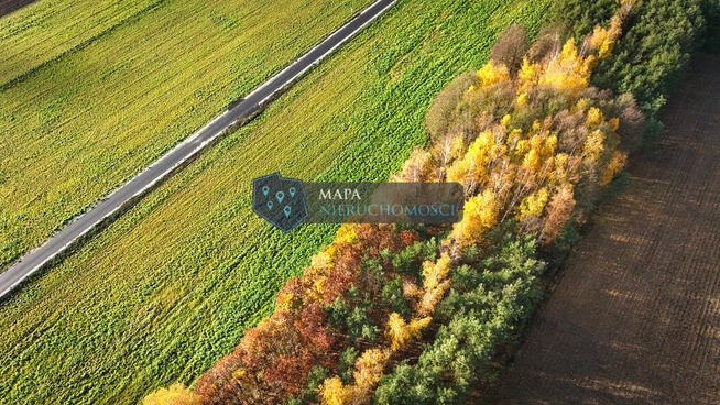 Działka rolna z możliwością podziału