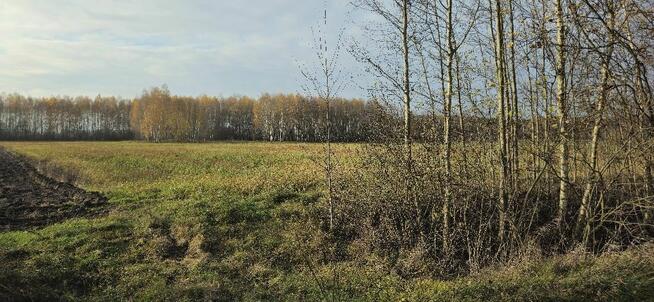 Działka bud. 2600M2; Nowa Wola