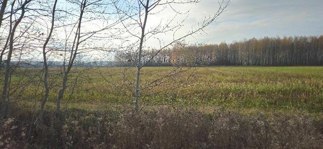 Działka bud. 2600M2; Nowa Wola