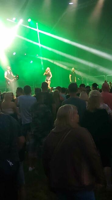 Agencja Ochrony Osób i Mienia, Ochrona Imprez Masowych