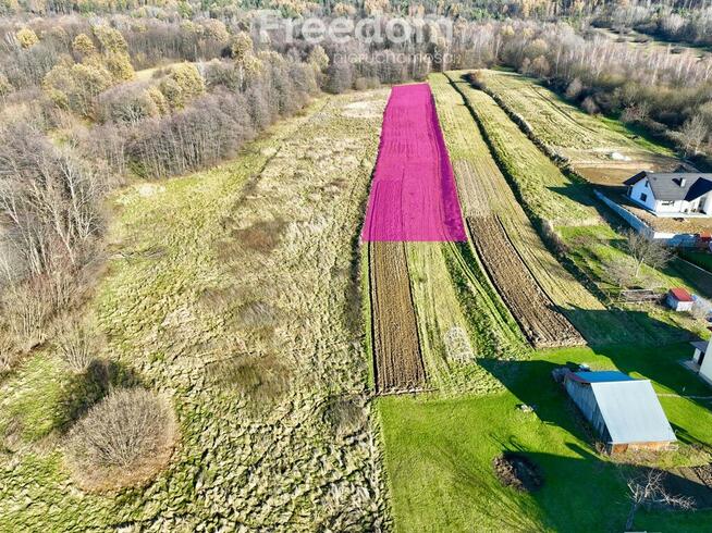 Klimatyczny dom z bali w Węglówce