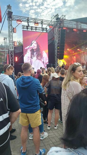 Agencja Ochrony Osób i Mienia, Ochrona Imprez Masowych