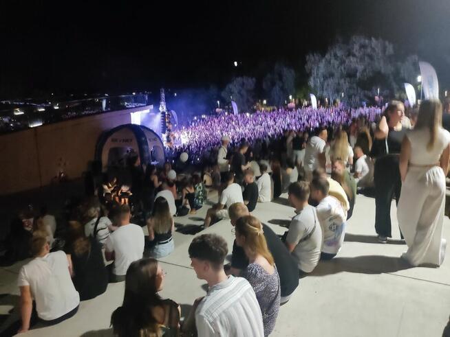 Agencja Ochrony Osób i Mienia, Ochrona Imprez Masowych