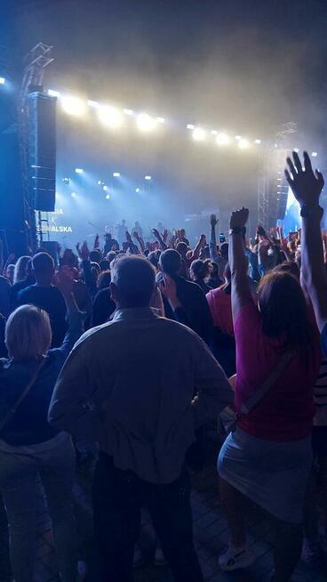 Agencja Ochrony Osób i Mienia, Ochrona Imprez Masowych