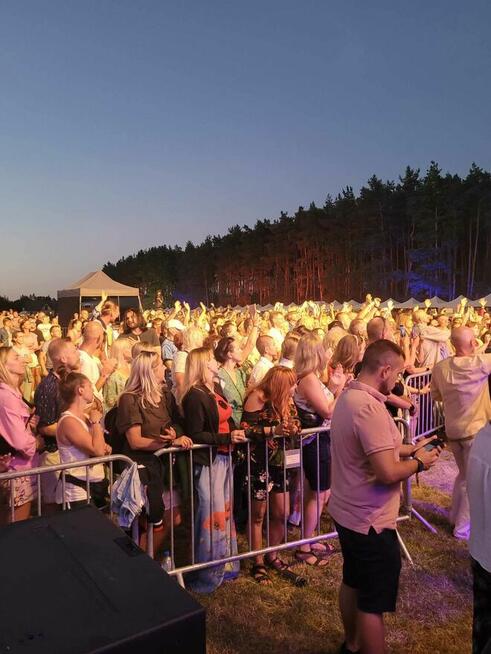 Agencja Ochrony Osób i Mienia, Ochrona Imprez Masowych