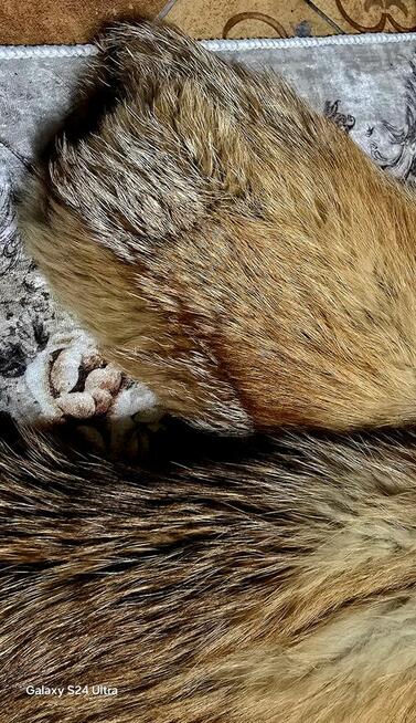 Futerko z naturalnego lisa, dla dziewczynki