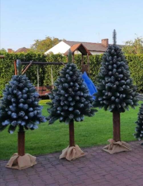 Choinki sztuczne jak żywe piękne i gęste sosny górskie