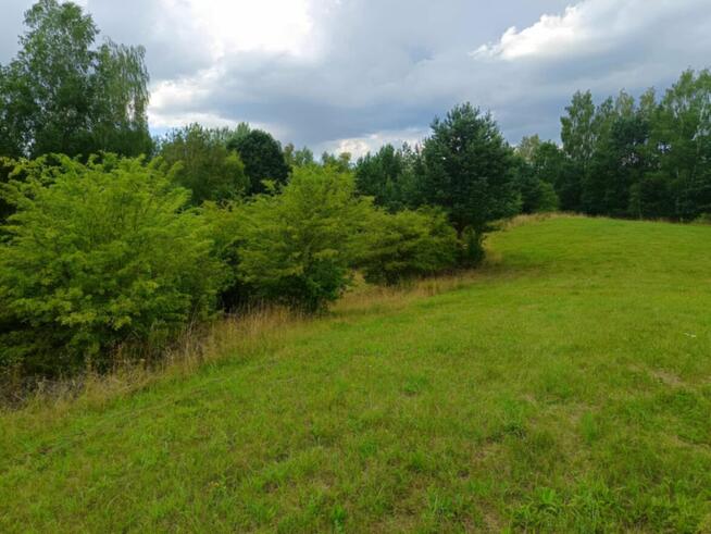 Sprzedam działki 15 km od Olsztyna