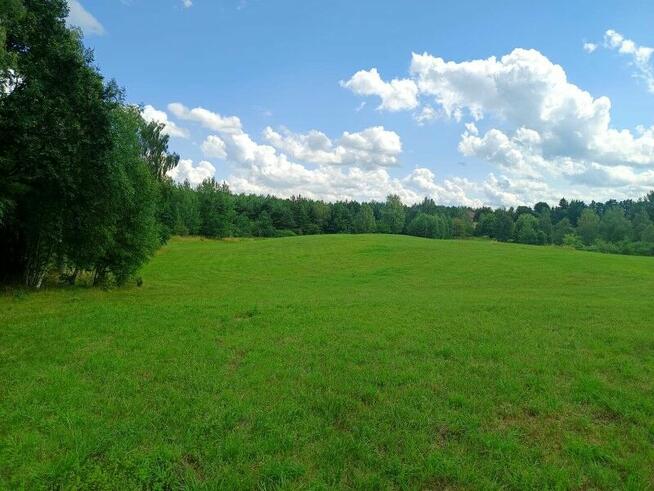 Sprzedam działki 15 km od Olsztyna