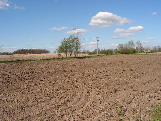 Bezpośrednio działki z WZ