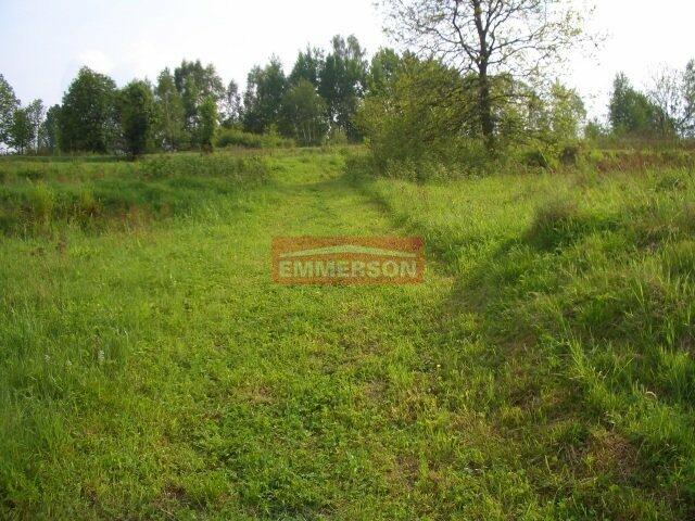 59 arów -działka rolna Golkowice