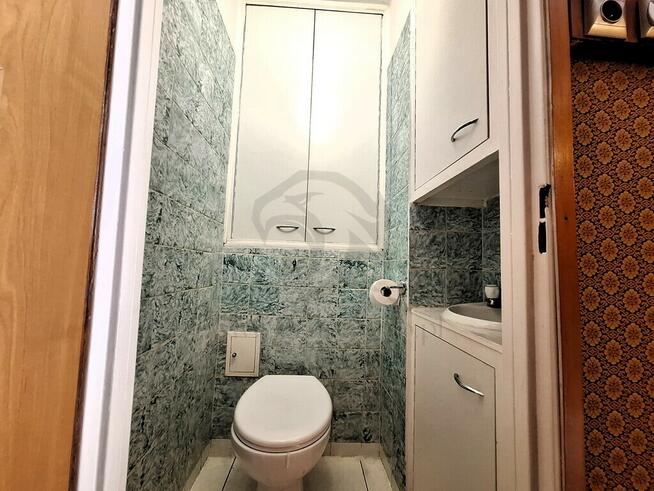 Kurczaki – tylko nazwa śmieszna, reszta super!