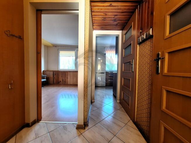 Kurczaki – tylko nazwa śmieszna, reszta super!