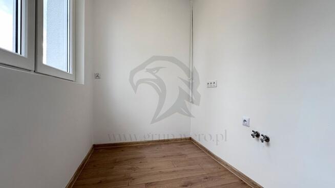 Tropem osobników w ich miejskim siedlisku