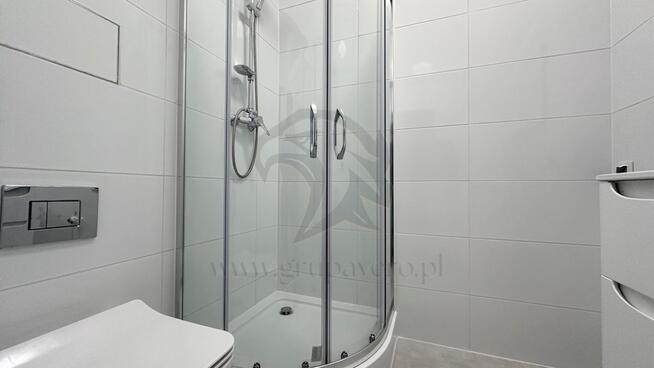 Tropem osobników w ich miejskim siedlisku