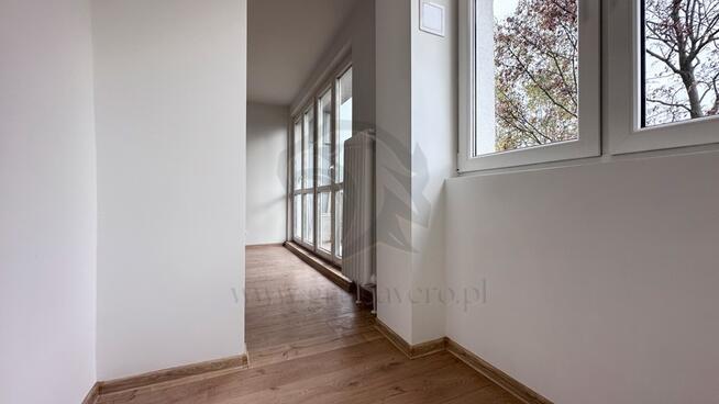 Tropem osobników w ich miejskim siedlisku