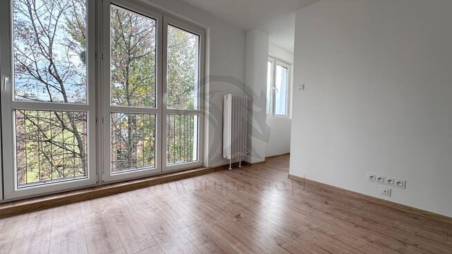 Tropem osobników w ich miejskim siedlisku