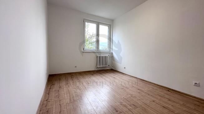 Tropem osobników w ich miejskim siedlisku