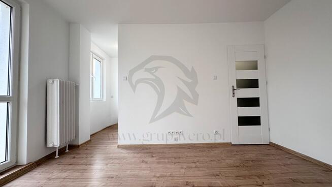 Tropem osobników w ich miejskim siedlisku