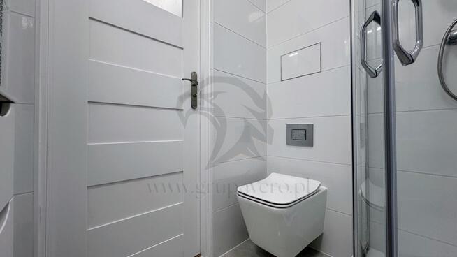 Tropem osobników w ich miejskim siedlisku