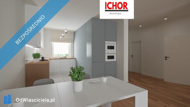 Dom Starcza ul. Brzozowa 30 ICHOR Deweloper