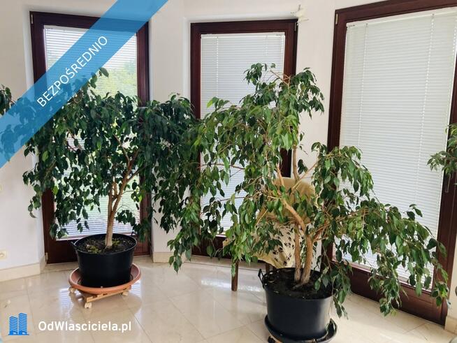 Sprzedam 300-metrowy dom w Budzyniu k/Kryspinowa