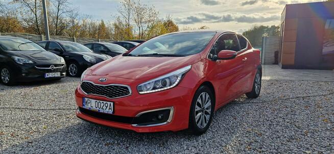 Kia Pro Cee'd Super Stan Bezwypadkowy 1.4