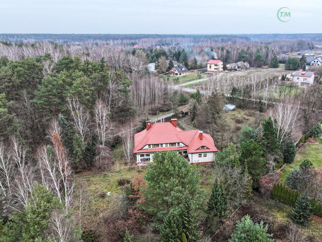 Strzeniówka 7000 m2 gruntu do własnej aranżacji.