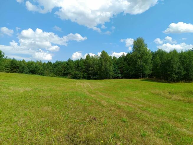 Sprzedam działki 15 km od Olsztyna
