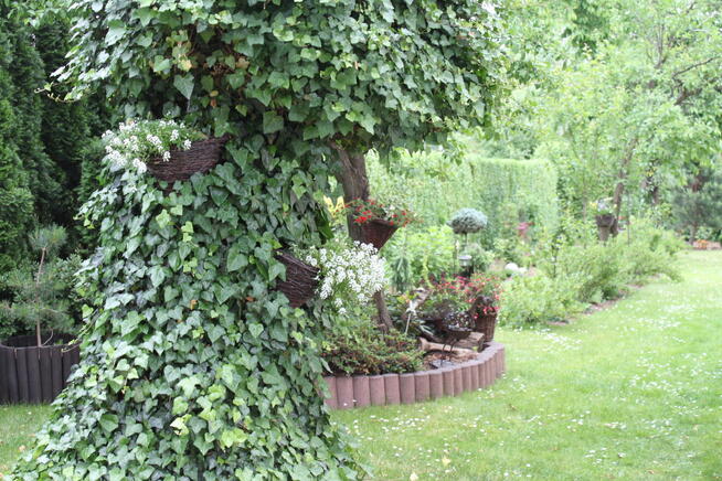 Cena = 2. 012.000 zł. zaCałą działkę 53ary, to realnaCena!!