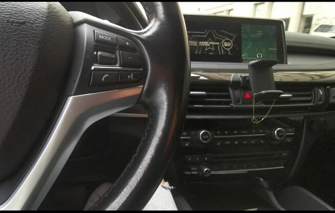 Szukam właścicielki...