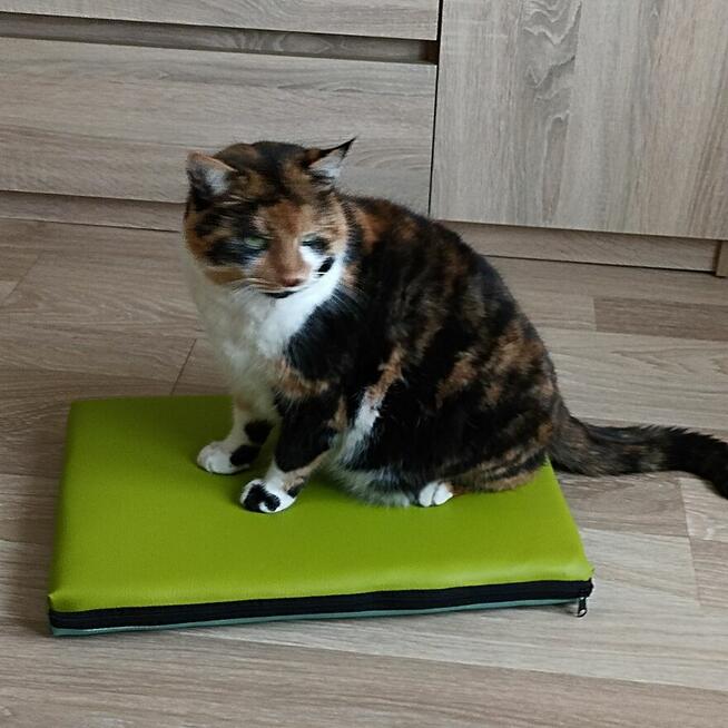 LEGOWISKO MATERAC dwustronne PSA KOTA 90x60x6cm eko-skóra