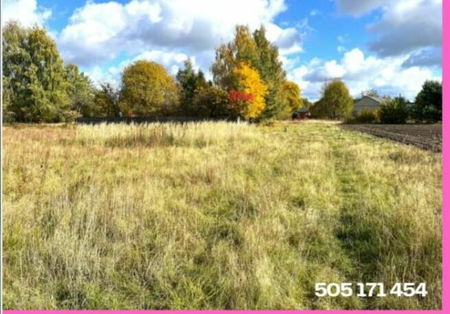 Dom obora stodoła siedlisko ok 1ha Mostówka