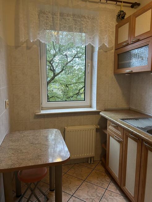 Do wynajmu duza kawalerka w centrum Szczecina Bez posrednika