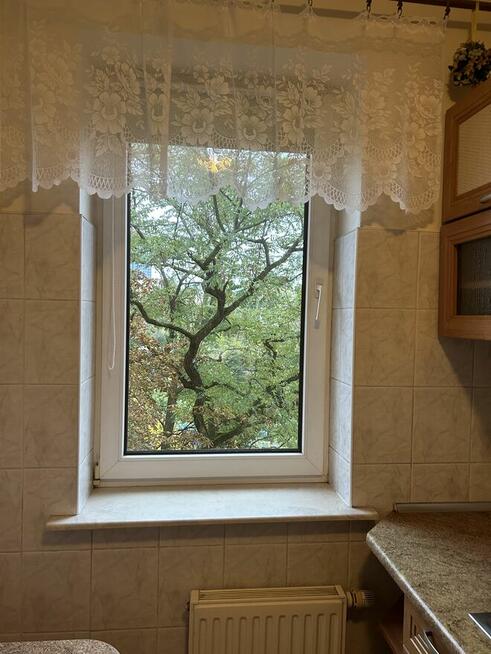 Do wynajmu duza kawalerka w centrum Szczecina Bez posrednika