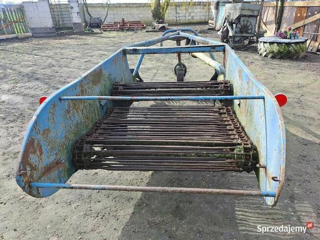 Kopaczka Elewatorowa Do Ziemniaków Cebuli Buraczka Warzyw