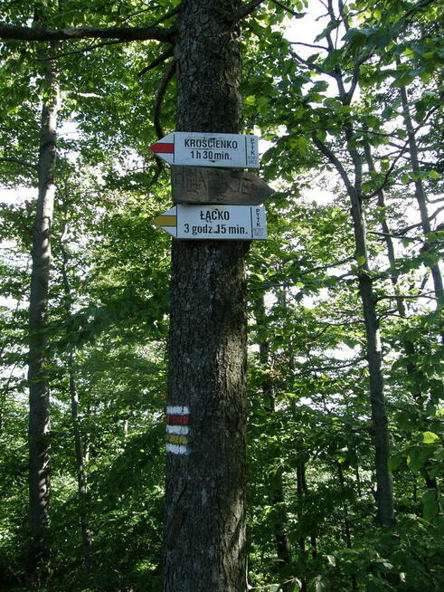 Wycieczki po Polsce i nie tylko