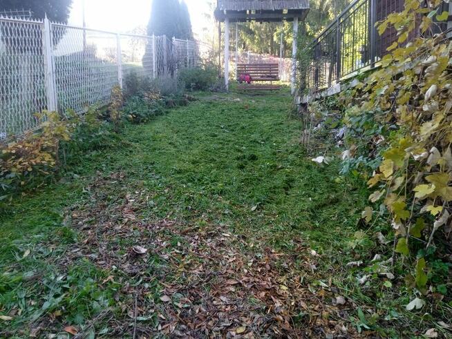 Zbieranie ,grabienie lisci.Pomoc na ogrodzie