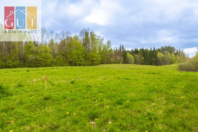 Działka rolna Wołowno gm. Jonkowo