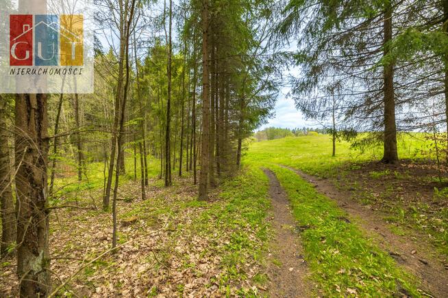 Działka rolna Wołowno gm. Jonkowo