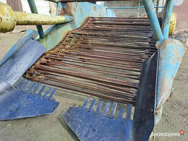 Kopaczka Elewatorowa Do Ziemniaków Cebuli Buraczka Warzyw