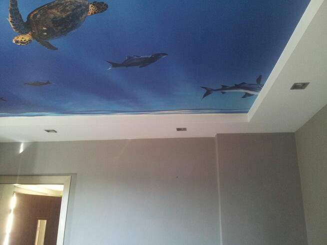 Wodzisław Śląski ,Mieszkanie 41 m2 , przy rynku