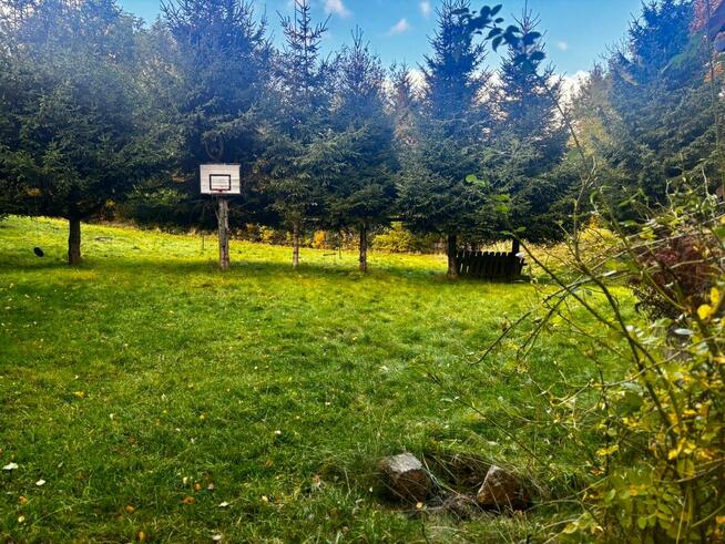 Wolny Domek -Karpacz dla 20 osób Święta , Sylwester