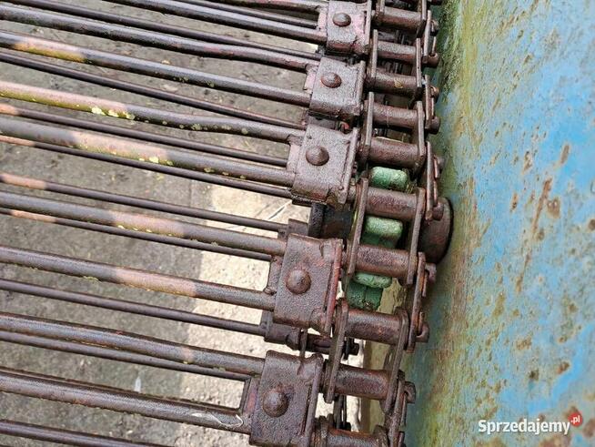 Kopaczka Elewatorowa Do Ziemniaków Cebuli Buraczka Warzyw