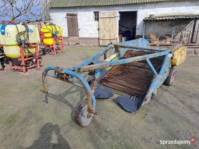 Kopaczka Elewatorowa Do Ziemniaków Cebuli Buraczka Warzyw