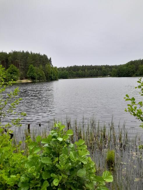 Funkcjonalny dom wśród kaszubskich lasów i jezior